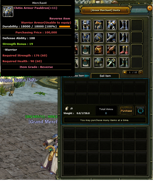 Costum zırh npc.gif